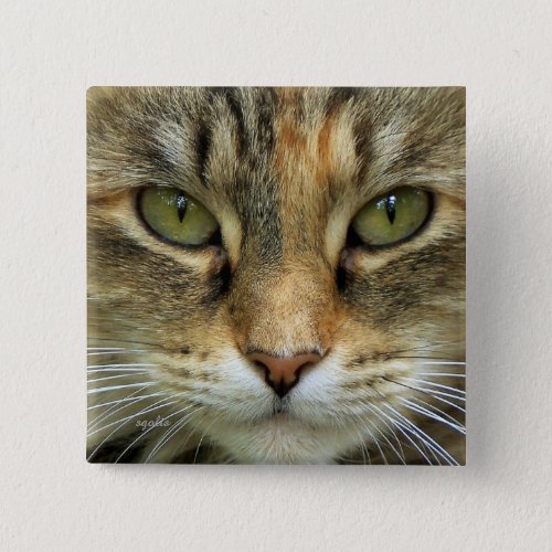 Eyes of the Cat  Cat Lover Photo Designed  Button