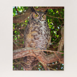 Eyes of the Night: Great Horned Owl Jigsaw Puzzle