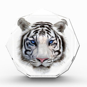Eyes of the Tiger Acrylic Award