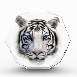 Eyes of the Tiger Acrylic Award