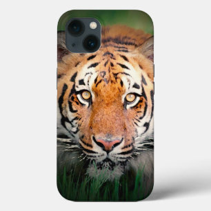Eyes of Tiger iPhone 13 Case