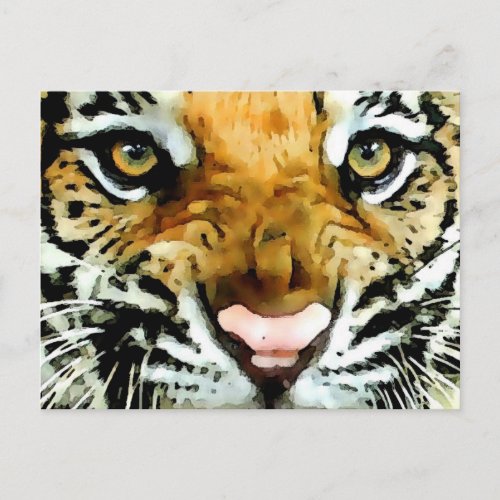 Eyes of Tiger Postcard