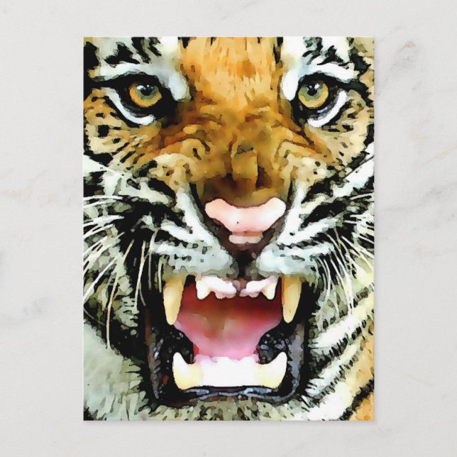 Eyes of Tiger Postcard (Front)