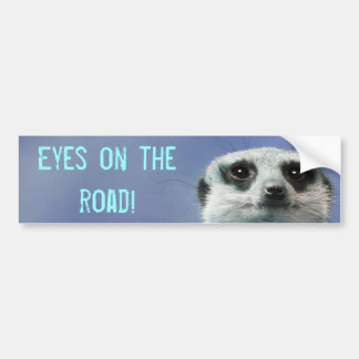 Eyes on the Road Meerkat Bumper Sticker