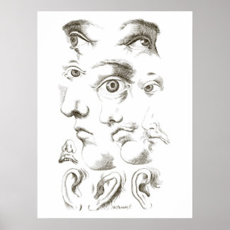 Eyes, Profile, Ears drawing, 17th century, vintage Poster