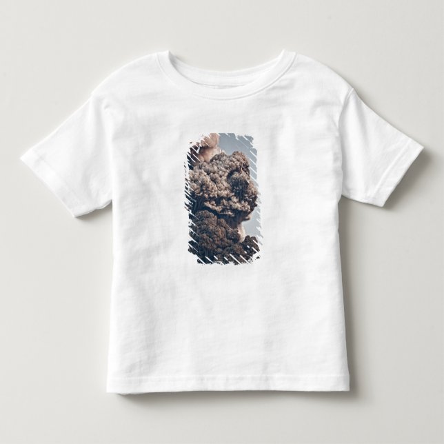 Eyjafjalljokull Volcanic Eruption Toddler T-shirt (Front)