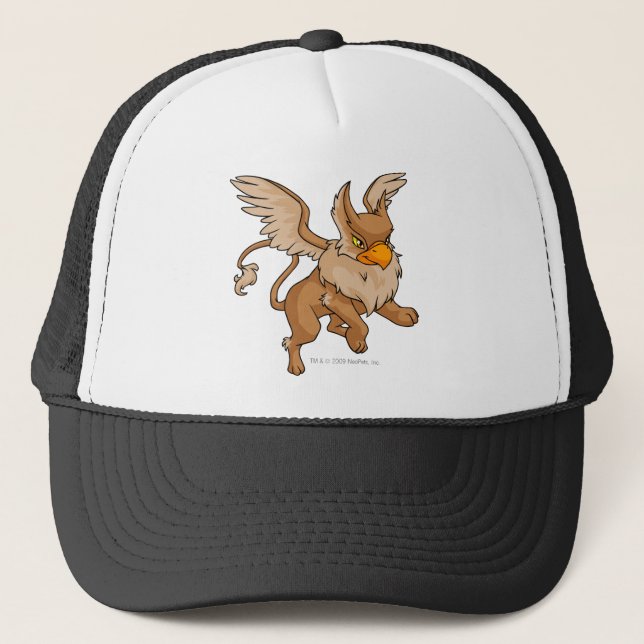 Eyrie Brown Trucker Hat (Front)