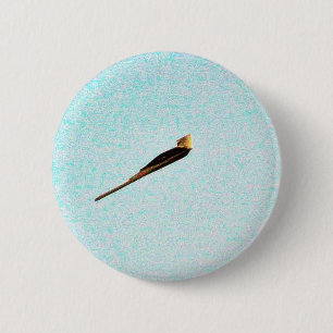 F117a Stealth Bomber Button