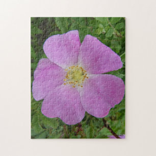 F11 Wild Rose "Rosa arkansana" Jigsaw Puzzle
