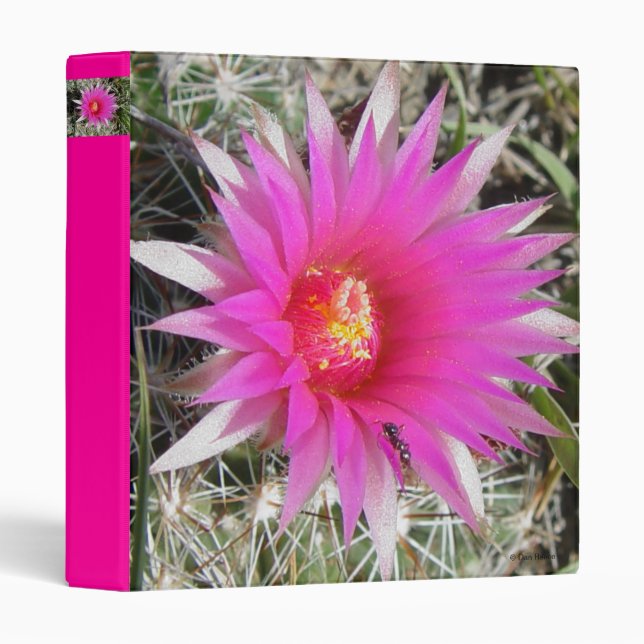 F12 Ball Cactus Flower "Escobaria vivipara" Binder (Front/Spine)