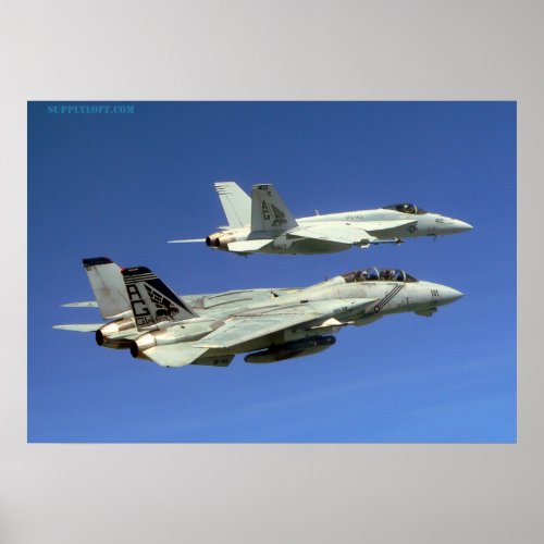 F14 and F18 Poster