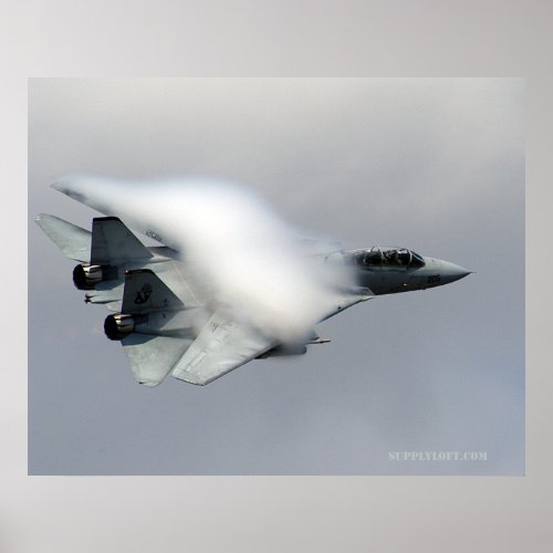F14 in High Speed Pass Poster