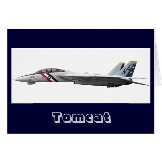 F14, Tomcat Cards (Front Horizontal)