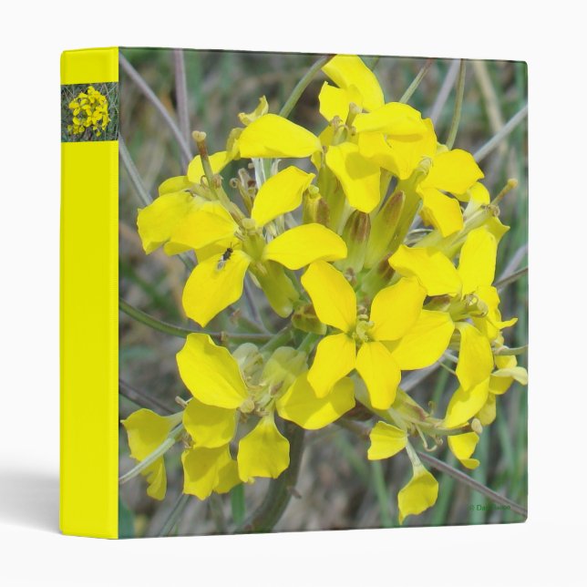 F14 Yellow Wildflowers Binder (Front/Spine)