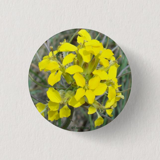 F14 Yellow Wildflowers Button (Front)