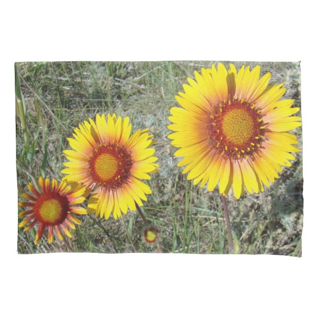 F17 Yellow Wildflowers Gaillardia Pillow Case (Front)