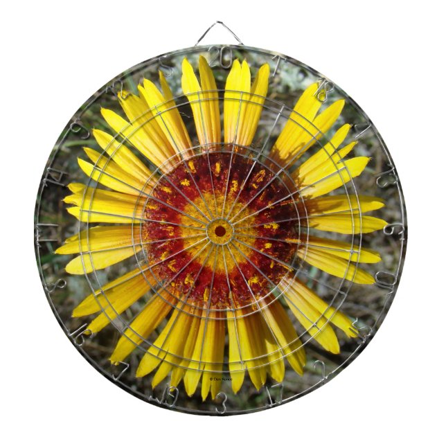 F1 Yellow Wildflower Gaillardia Dart Board (Front)