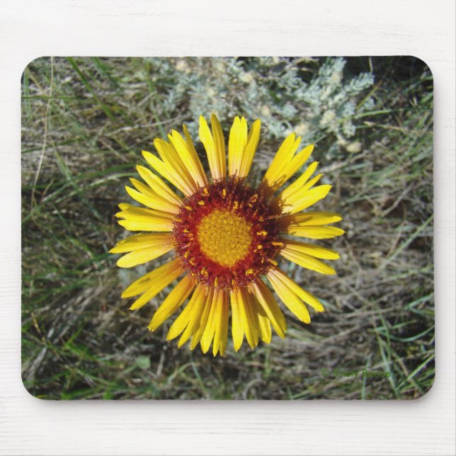 F1 Yellow Wildflower Gaillardia Mouse Pad (Front)