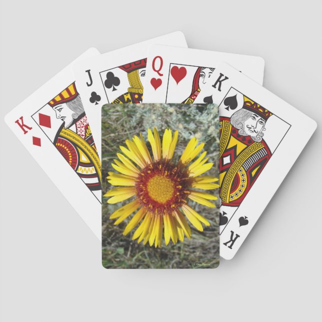 F1 Yellow Wildflower Gaillardia Poker Cards (Back)