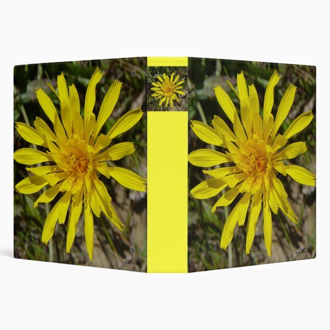 F21 Yellow Wildflower Narrow-leaved Hawks-beard Binder (Background)