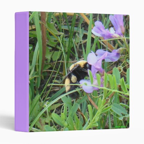 F2 Bee on Purple Wildflowers 3 Ring Binder