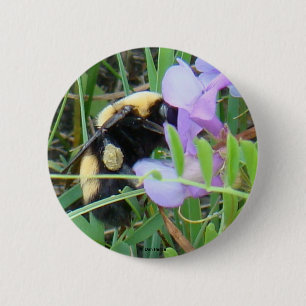 F2 Bee on Purple Wildflowers Pinback Button