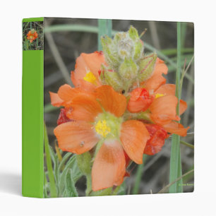 F40 Orange Wildflowers Scarlet Mallow Binder