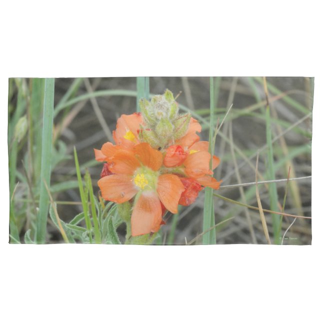 F40 Orange Wildflowers Scarlet Mallow Pillow Case (Front)