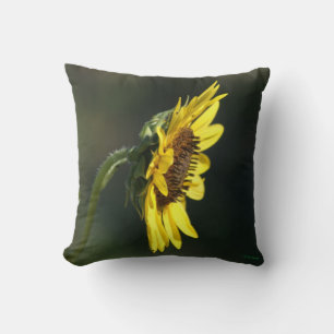 F43 Yellow Wildflower Black-eyed Susan Throw Pillow