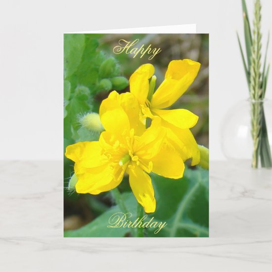 F44 Yellow Wildflowers Wild Mustard Card
