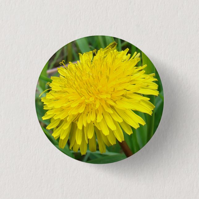 F45 Dandelion "Taraxacum officinale" Button (Front)
