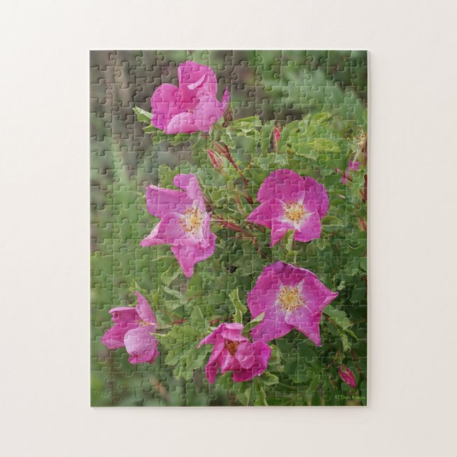 F46 Wild Roses Jigsaw Puzzle (Vertical)