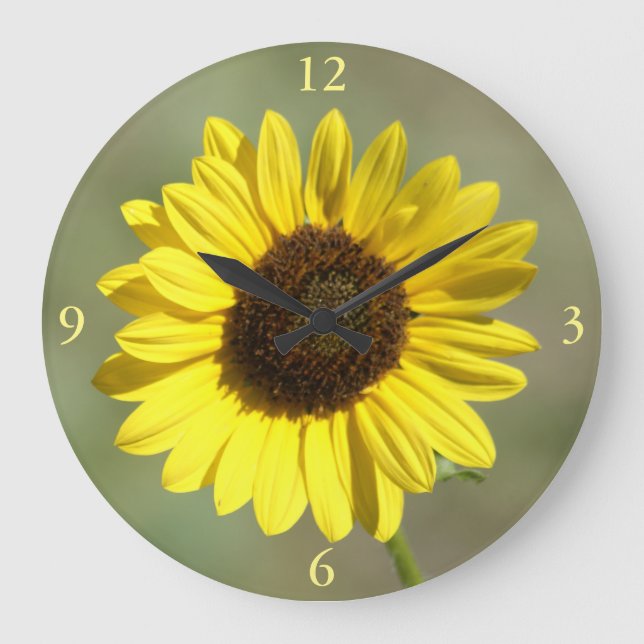 F47 Yellow Wildflower Common Annual Sunflower Large Clock (Front)
