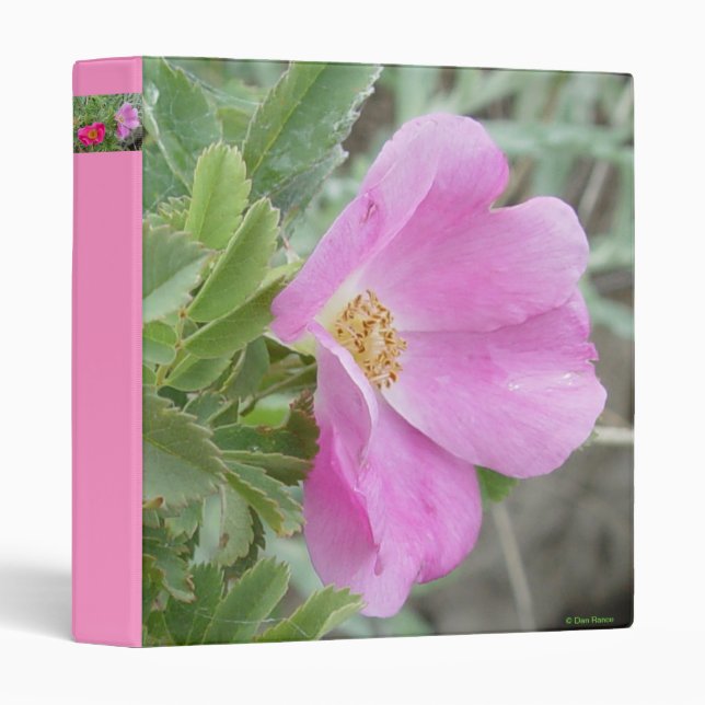 F4 Alberta Wild Rose Binder (Front/Spine)