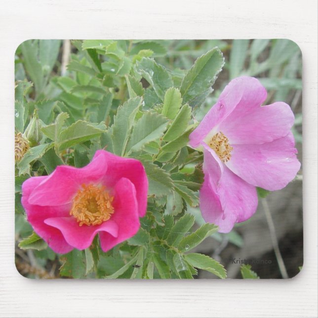 F4 Wild Roses Mouse Pad (Front)