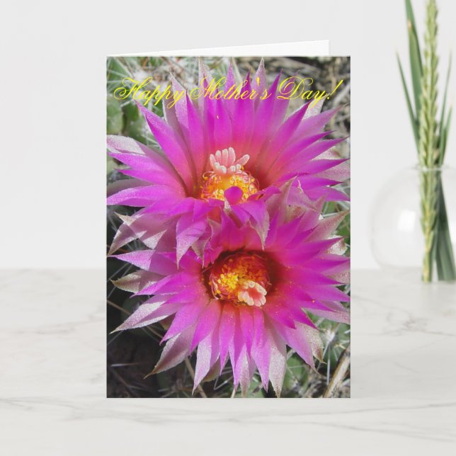 F5 Ball Cactus Flowers "Escobaria vivipara" Card (Front)