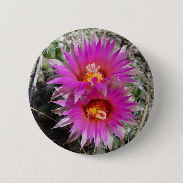 F5 Ball Cactus Flowers "Escobaria vivipara" Pinback Button (Front)