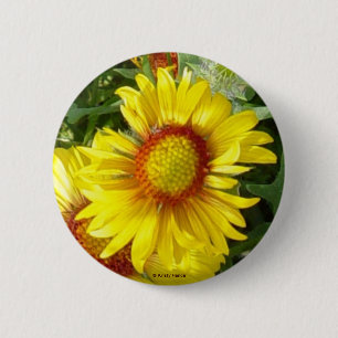 F6 Yellow Wildflower Gaillardia Pinback Button