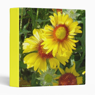 F6 Yellow Wildflowers Binder Gaillardia