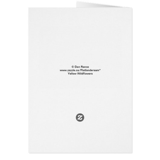 F6 Yellow Wildflowers Gaillardia (Back)