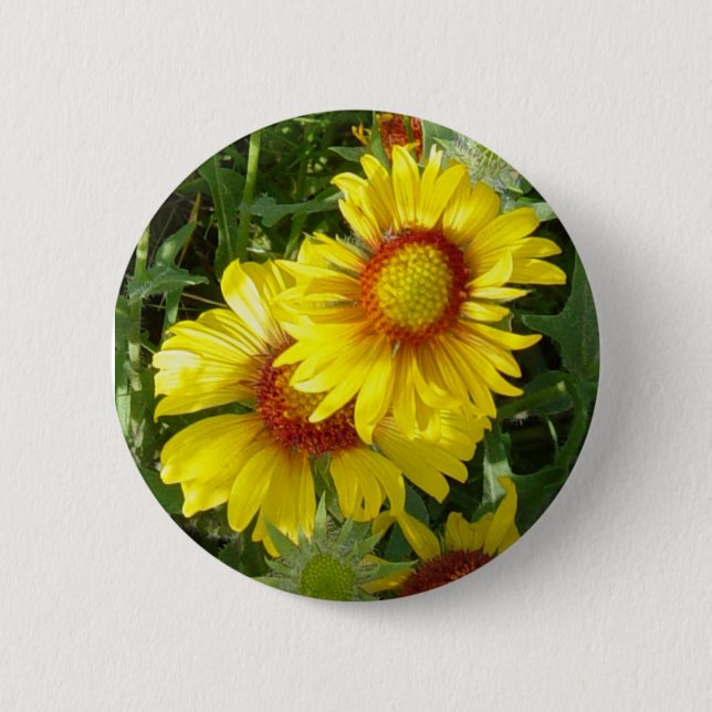 F6 Yellow Wildflowers Gaillardia Button (Front)
