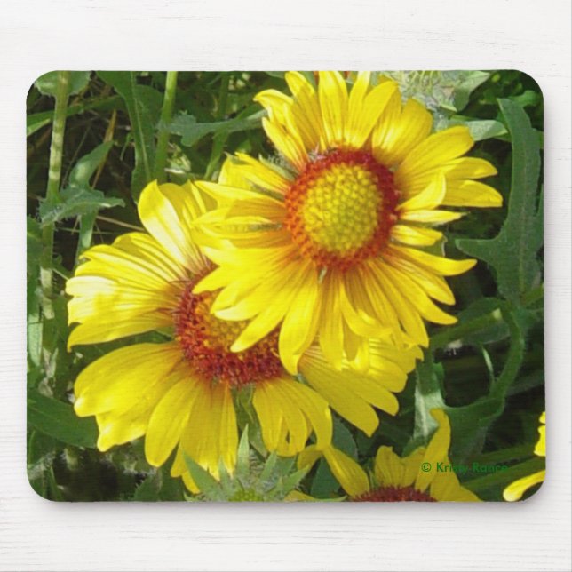 F6 Yellow Wildflowers Gaillardia Mouse Pad (Front)