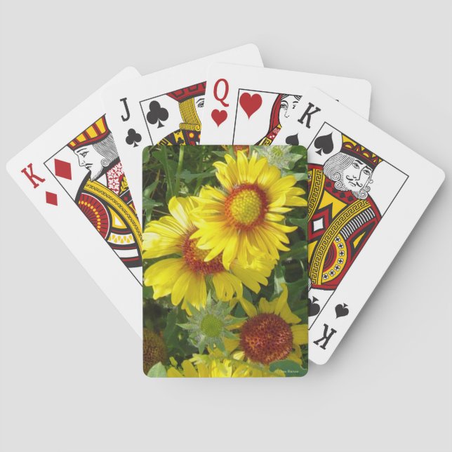 F6 Yellow Wildflowers Gaillardia Poker Cards (Back)