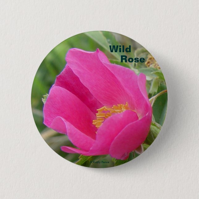 F7 Alberta Wild Rose Button (Front)
