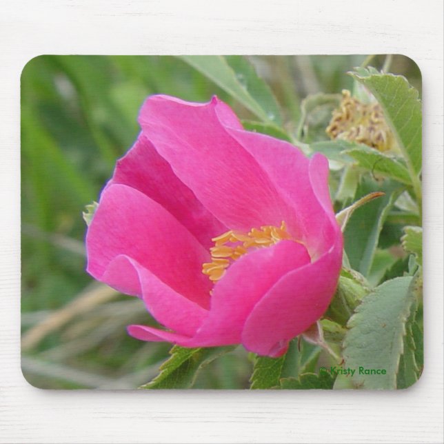 F7 Wild Rose Mouse Pad (Front)