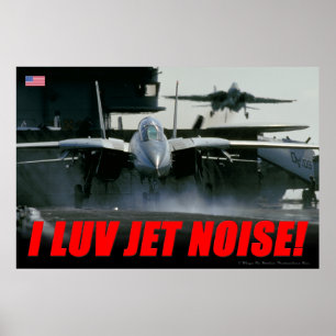 F-14 Jet Noise Poster