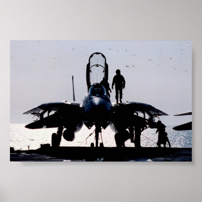 F-14 POSTER (Front)