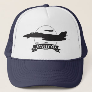 F-14 Tomcat CAP