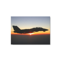 F-14 Tomcat Fighter Jet over Afghanistan