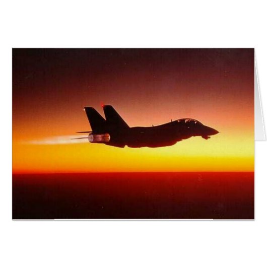 F-14 TOMCAT IN AFTERBURNER (Front Horizontal)